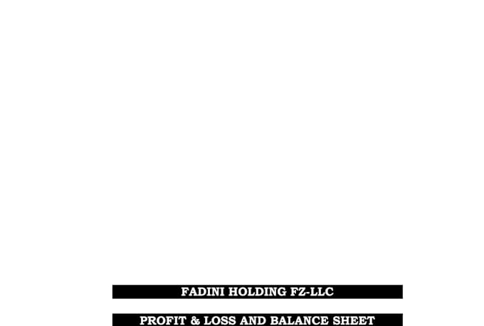 create cash flow, profit and loss, financial statements